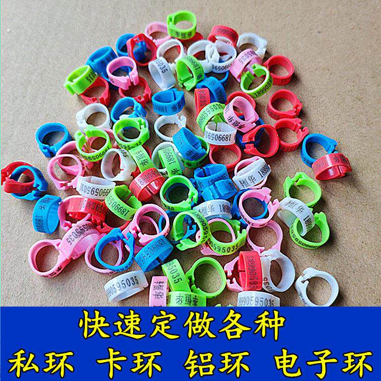 快速定做鸽子私环订做信鸽足环开口脚环鸽子脚环识别环鸽具