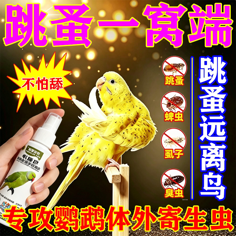 鹦鹉体内体外驱虫鹦鹉八哥鸽子画眉鸟咬毛啄羽寄生虫蛔虫肠胃清虫