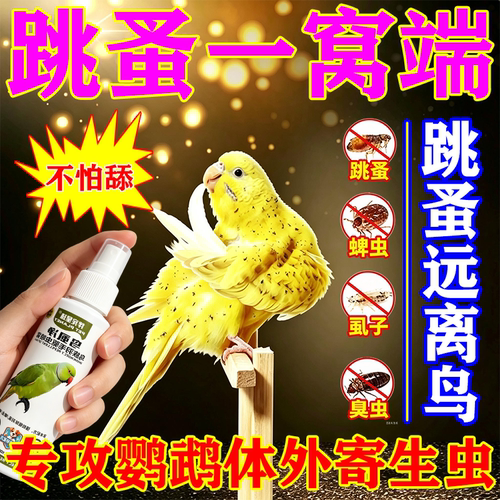 鹦鹉体内体外驱虫鹦鹉八哥鸽子画眉鸟咬毛啄羽寄生虫蛔虫肠胃清虫