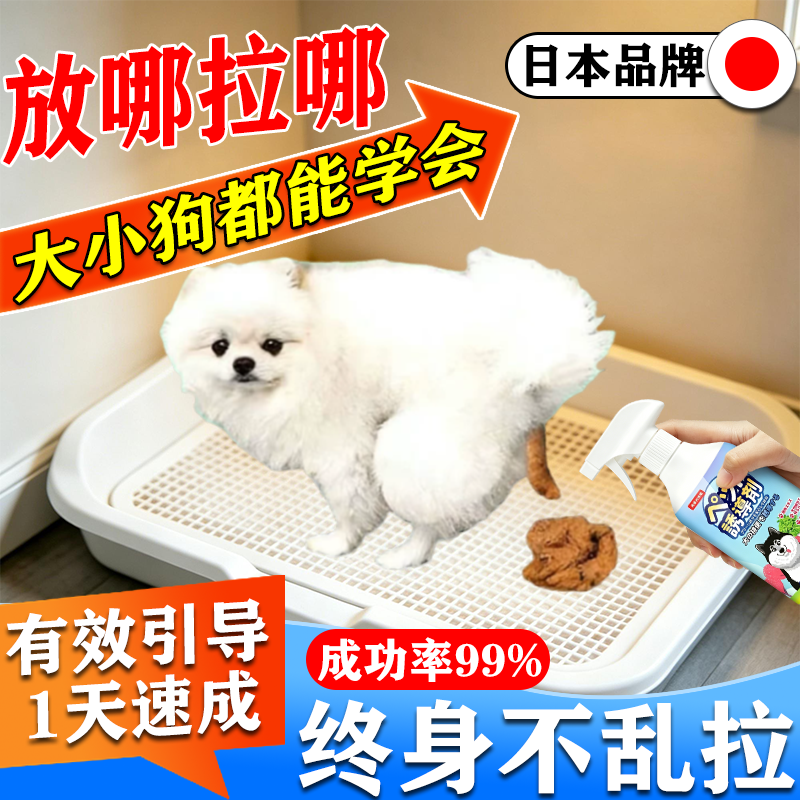 当晚学会】狗狗定点上厕所神器训练宠物狗大小排便不乱拉屎诱导剂