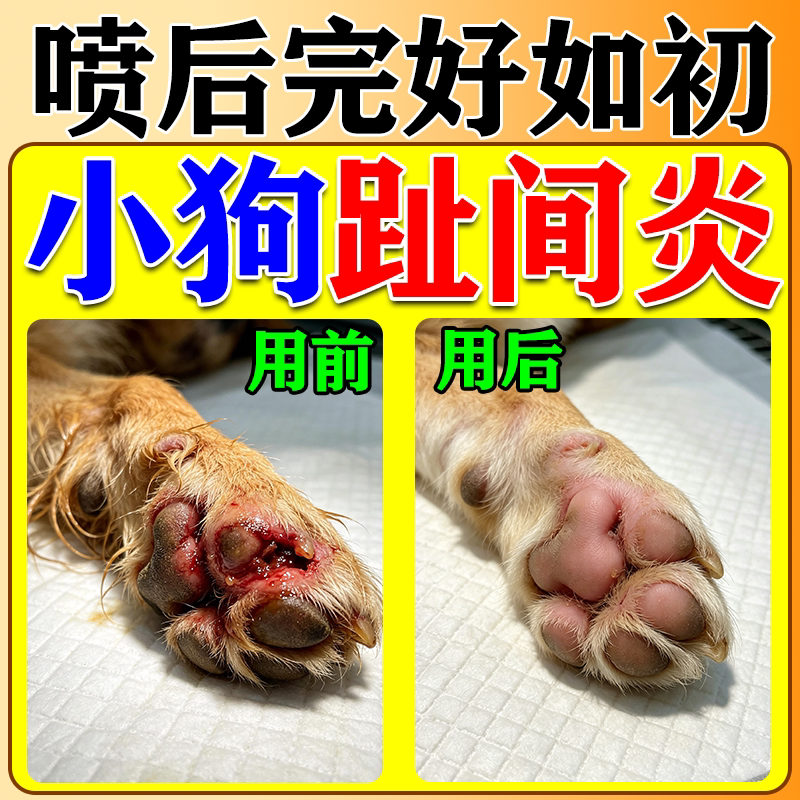 狗狗脚趾红猫狗趾间红真君感染宠舔舐脚趾缝间发红烂肿喷剂