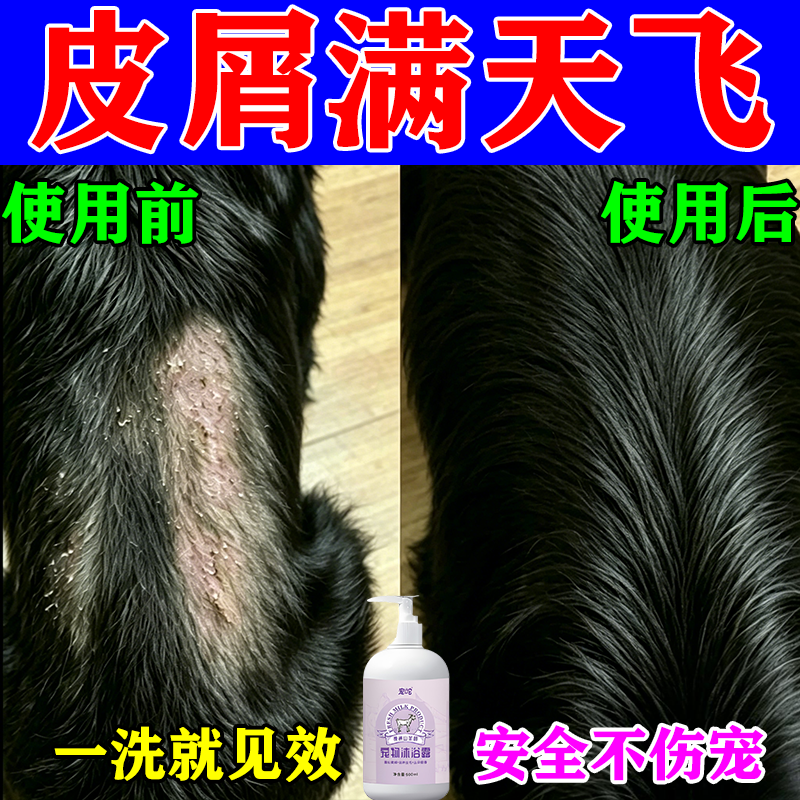 狗狗身上有皮屑杀菌止痒沐浴露长癣真菌感染脱毛药洗澡专用去皮屑