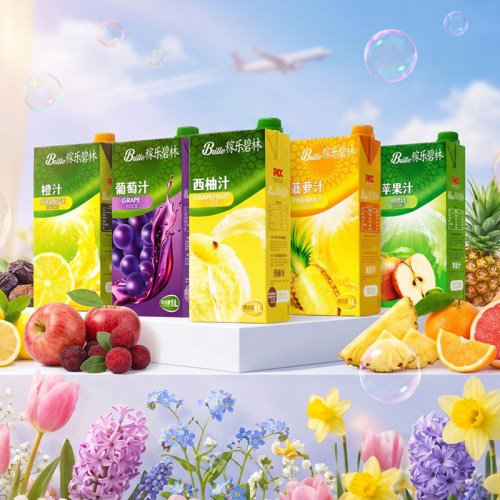 碧林果汁1L*2瓶装多口味饮料