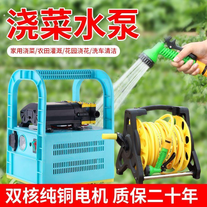 锂电菜地充电式浇水抽水泵浇菜神器浇地农用家用灌溉抽水机