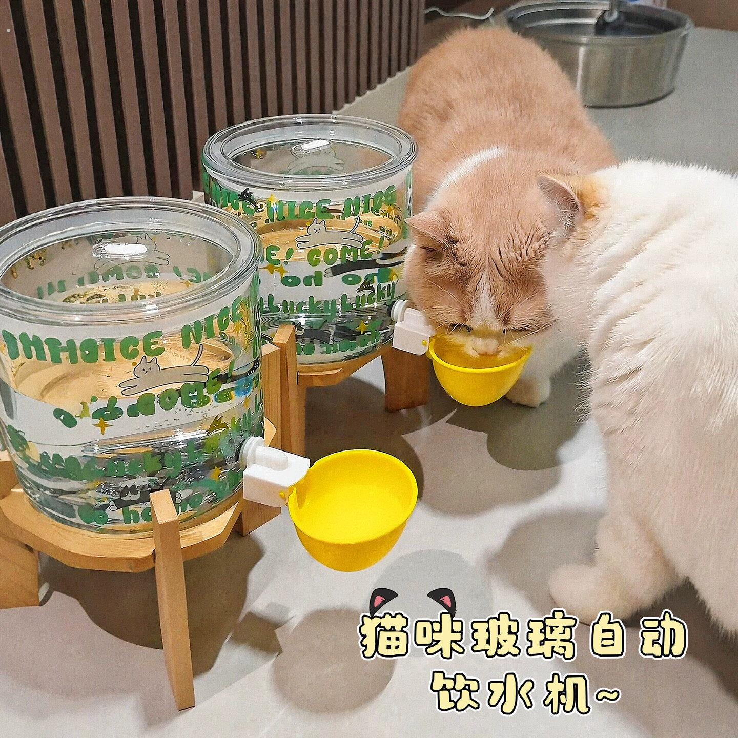 不插电猫咪饮水机新型自动喂水器流动续水大容量水壶宠物喝水神器