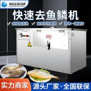 商用全自动剖鱼机杀鱼开肚开背去鳞一体机草鱼罗非鱼多功能宰鱼机