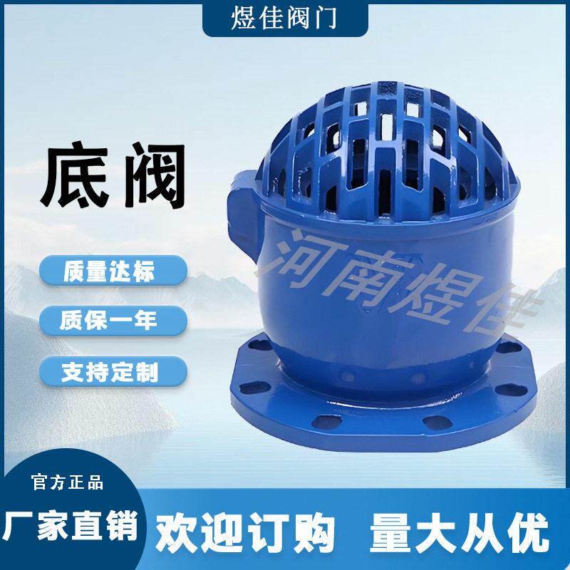 厂家供应H42X吸水底阀抽水泵底阀法兰底阀球墨铸铁法兰大流量底阀