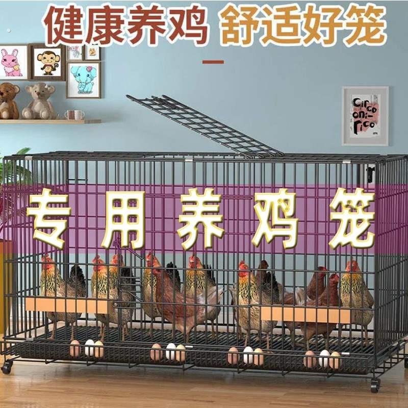 鸡笼子养殖笼家用大号加粗加固自动滚蛋清粪可折叠母鸡鸭笼养殖笼