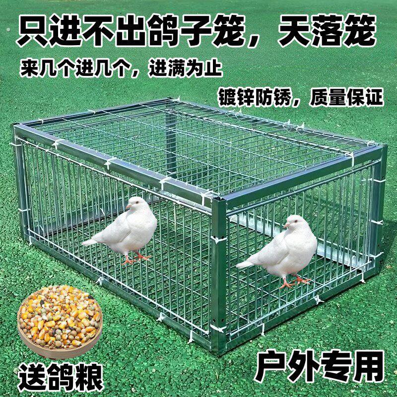 新款加密只进不出鸽子笼天落笼户外撞门笼全自动收鸽笼捕鸽子神器