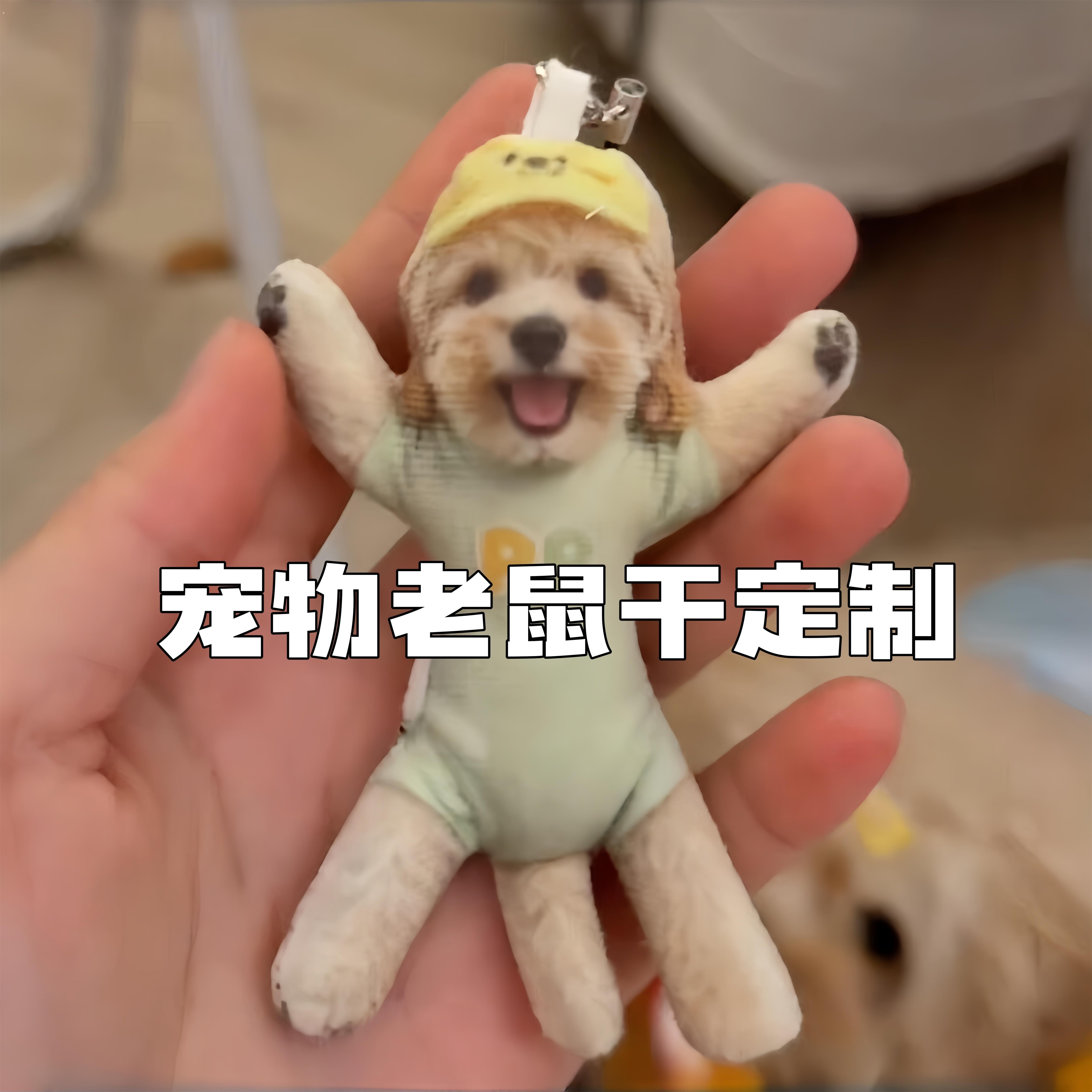 来图定制宠物老鼠干猫咪狗狗迷你可爱带骨架摆造型乳鼠干玩偶挂件