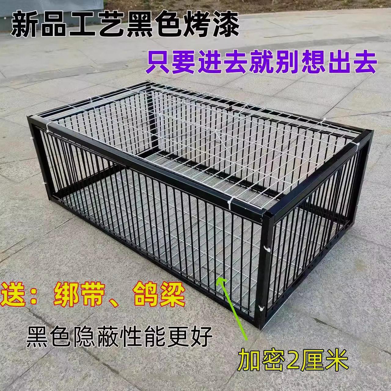 新款加密只进不出鸽子笼天落笼户外撞门笼全自动收鸽笼捕鸽子神器