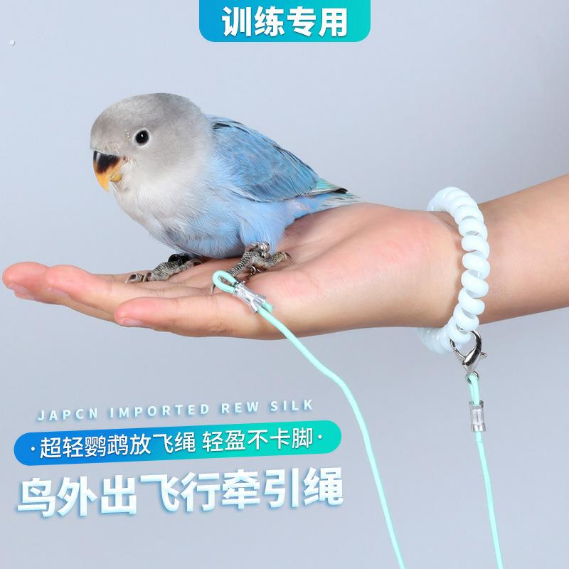 放飞牵引绳绳绒皮脚环超轻脚遛鸟绳鹦鹉飞脚链牵引画眉鹩哥灰
