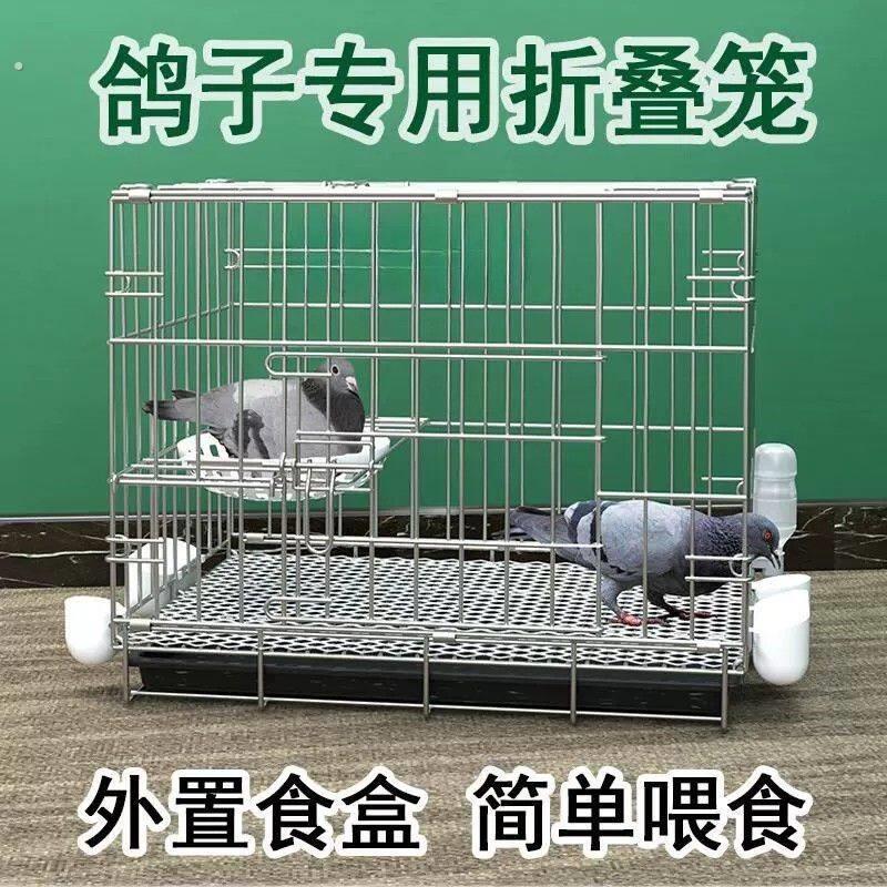 鸽子笼养鸽子专用笼养殖笼家用繁殖笼配对笼大号新型鸽舍鸽子笼子图片