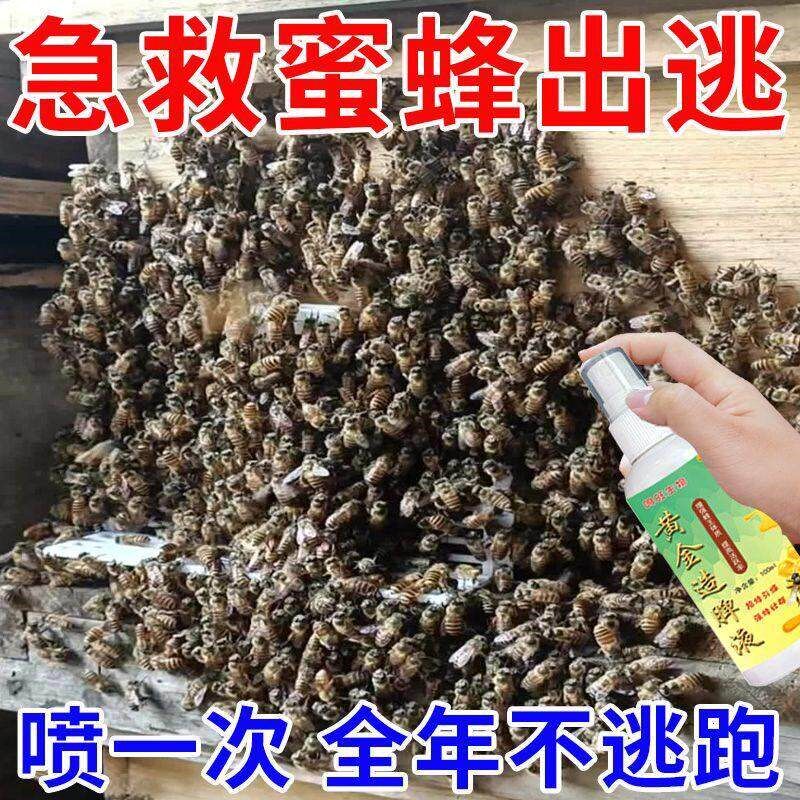 蜜蜂飞逃中蜂烂子灵囊状幼虫烂子防止蜜蜂飞逃巢门专用养蜂工具