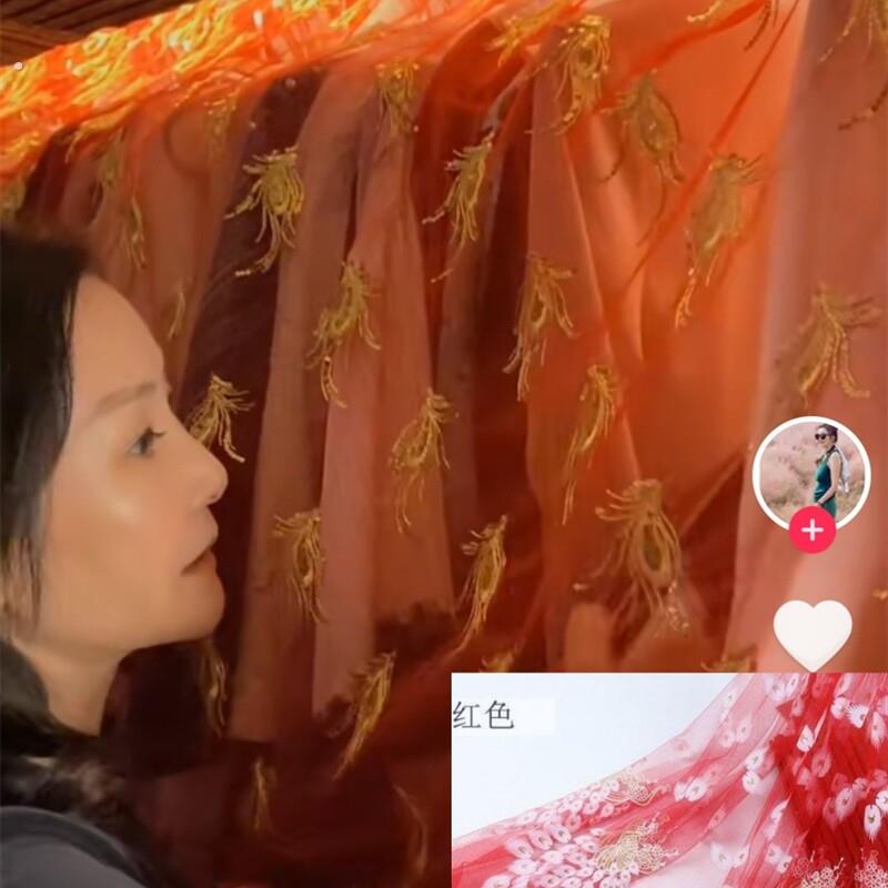 雪瑞同款姑姑短门帘遮阳透明衣服防尘纱笠薄纱灰尘盖布盖巾柜子布