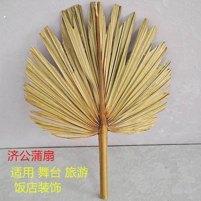 扇子大蒲扇芭蕉扇济公扇葵扇老人老式手工蒲草编织夏季粽叶扇家用