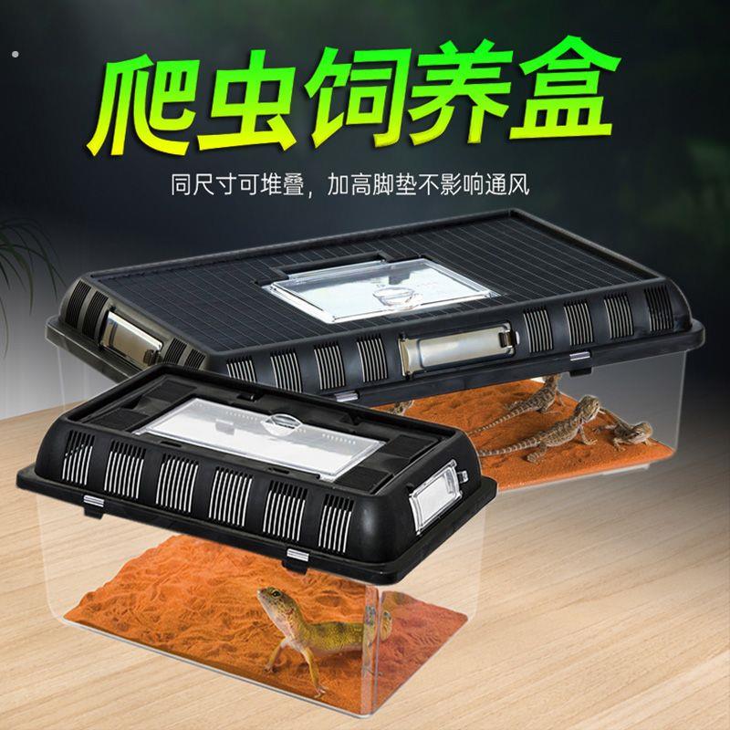高透光爬宠盒蛇 蜘蛛 蛙 守宫 蜥蜴水龟陆龟小宠饲养盒繁殖饲养箱