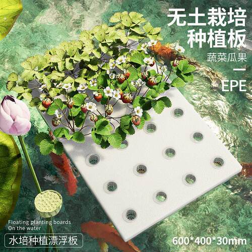 水培蔬菜定植板无土栽培种植板板水上种菜塑料漂浮板