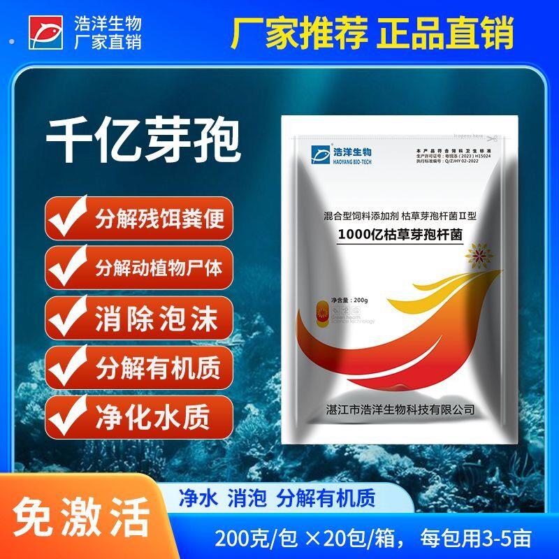 水产养殖1000亿枯草芽孢杆菌厂家直销2箱送1箱净化水质消泡去油膜