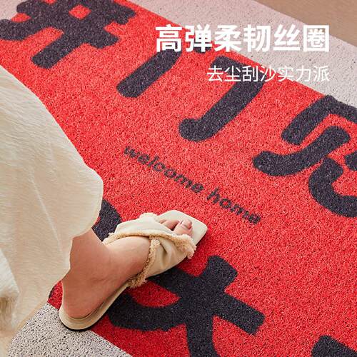 丝圈入户门地垫2026新款进门家用脚垫门垫子门口地垫入户门外防滑