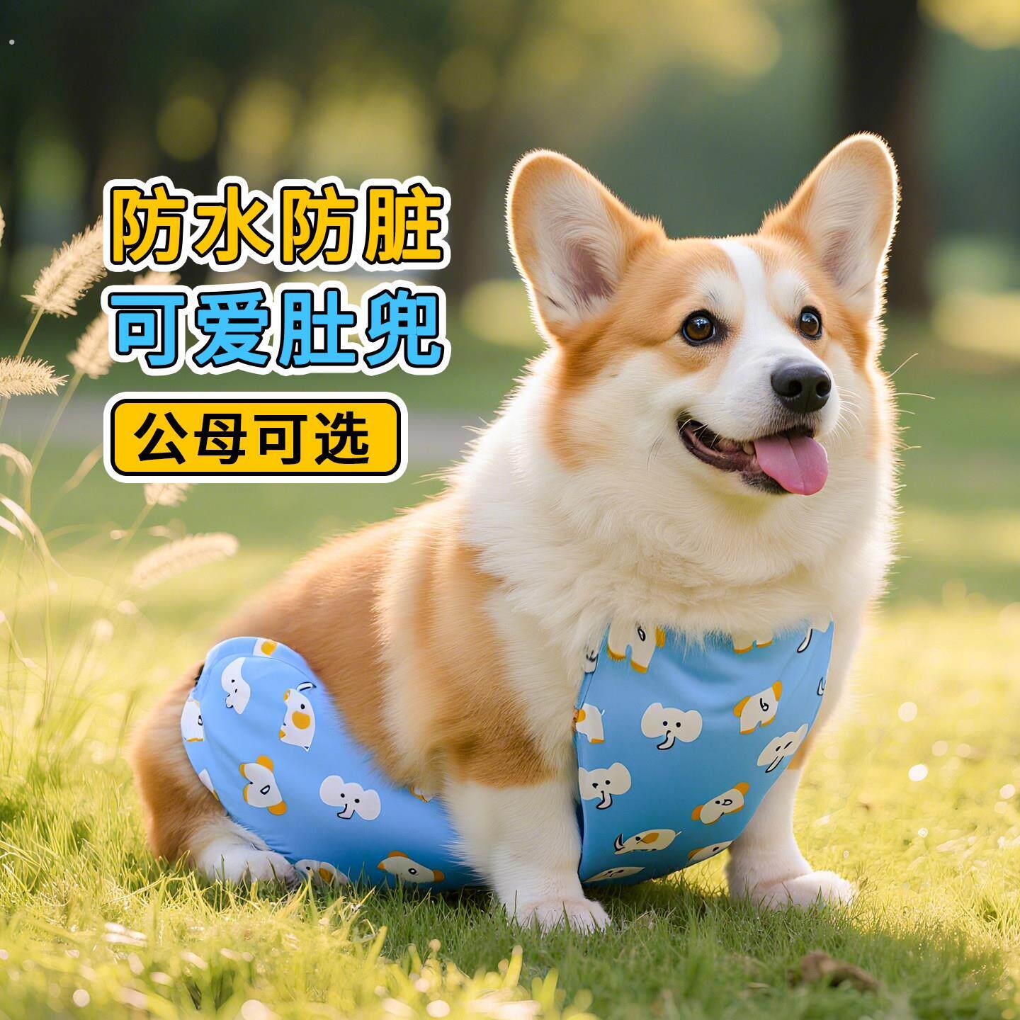 宠物狗狗防脏肚兜四季通用防水防潮护肚子衣服防着凉法斗柯基专用