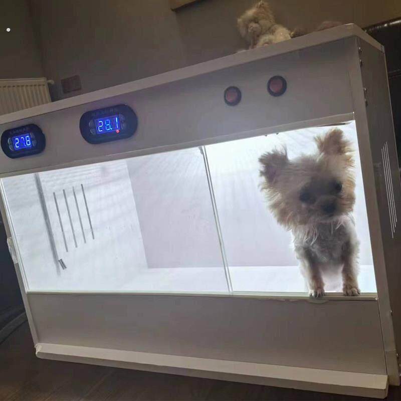 法斗猫狗泰迪斗牛犬恒温保温箱幼崽早产保温无毛猫狗恒温箱烘干箱