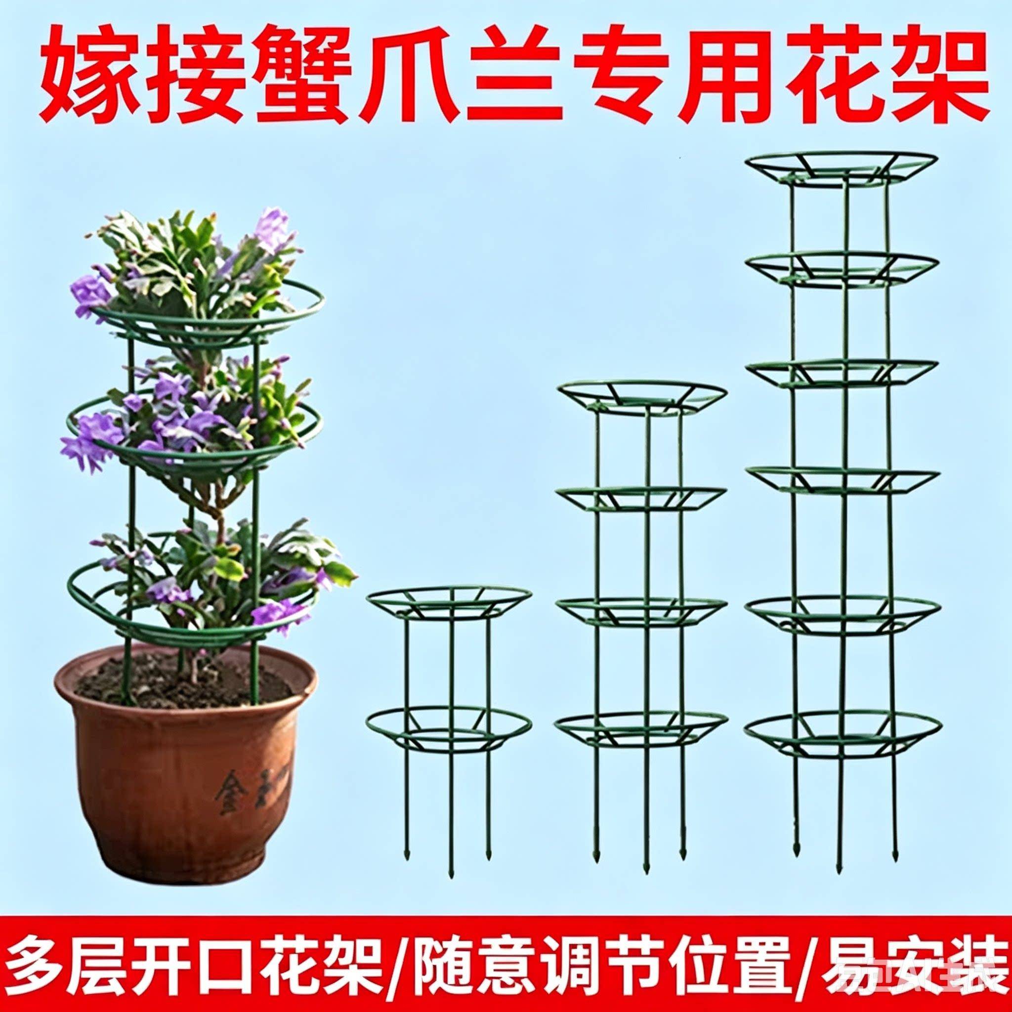 嫁接蟹爪兰专用花架爬藤支架蟹爪莲支撑架多层可拼接加粗铁艺花架