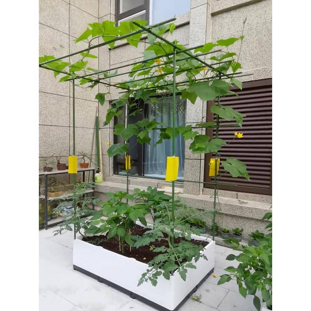 种菜棚架 蔬菜棚支架 菜棚支架 菜棚拱杆菜地小拱棚 种菜专用棚架