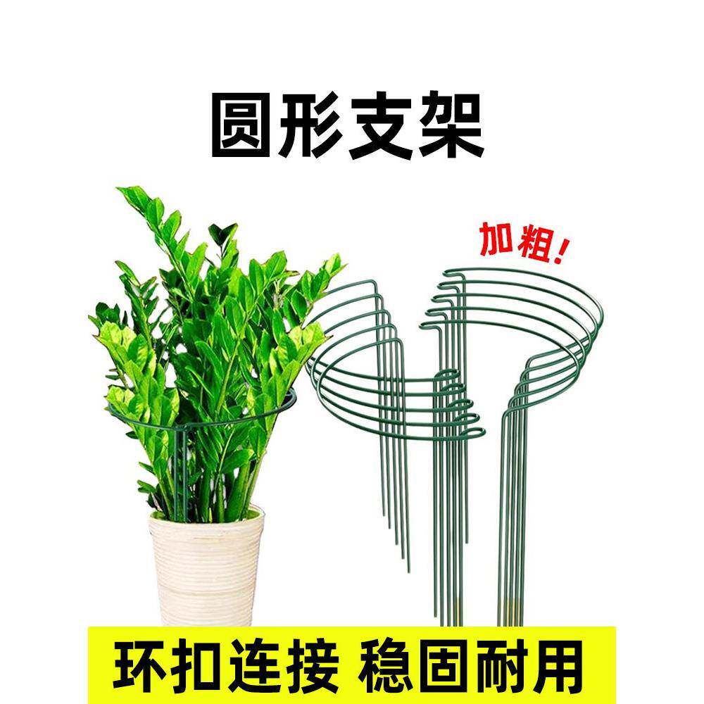 花支撑架花架支撑杆爬藤支架花盆园艺支柱爬藤植物固定架客厅花架