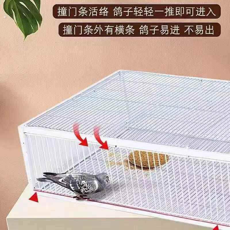 新款加密天落鸽笼只进不出自动撞门笼自动收鸽诱捕陷阱笼鸽子神器