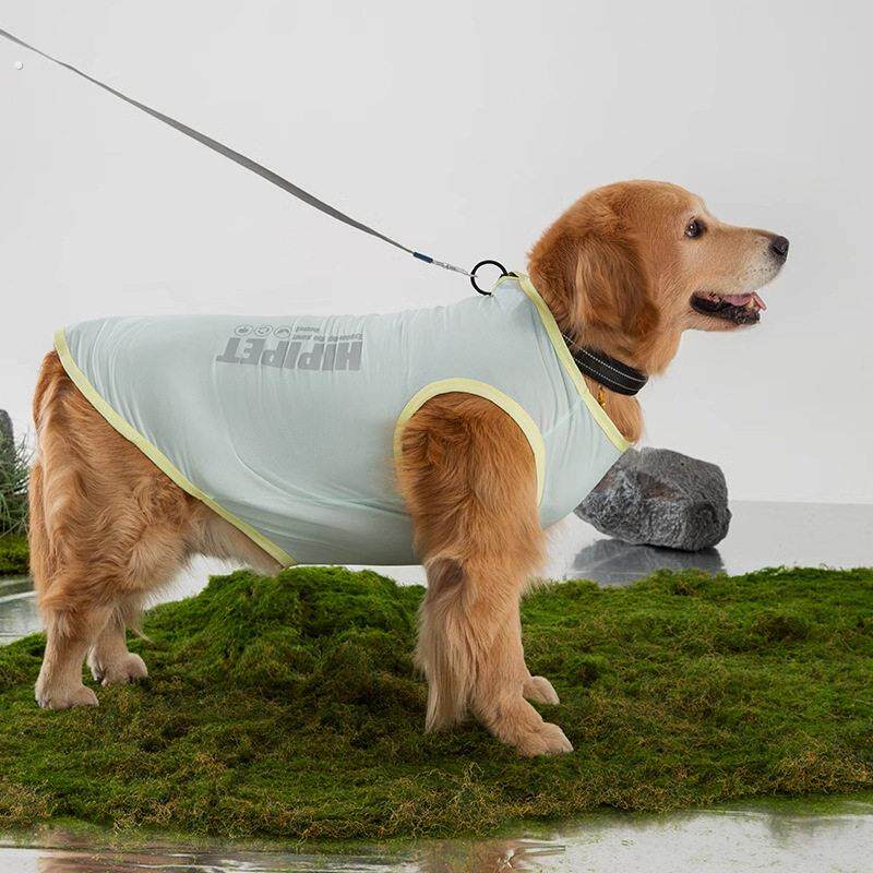 简约大型犬萨摩拉布拉多大狗夏季薄款透气两脚背心狗狗衣服宠物狗
