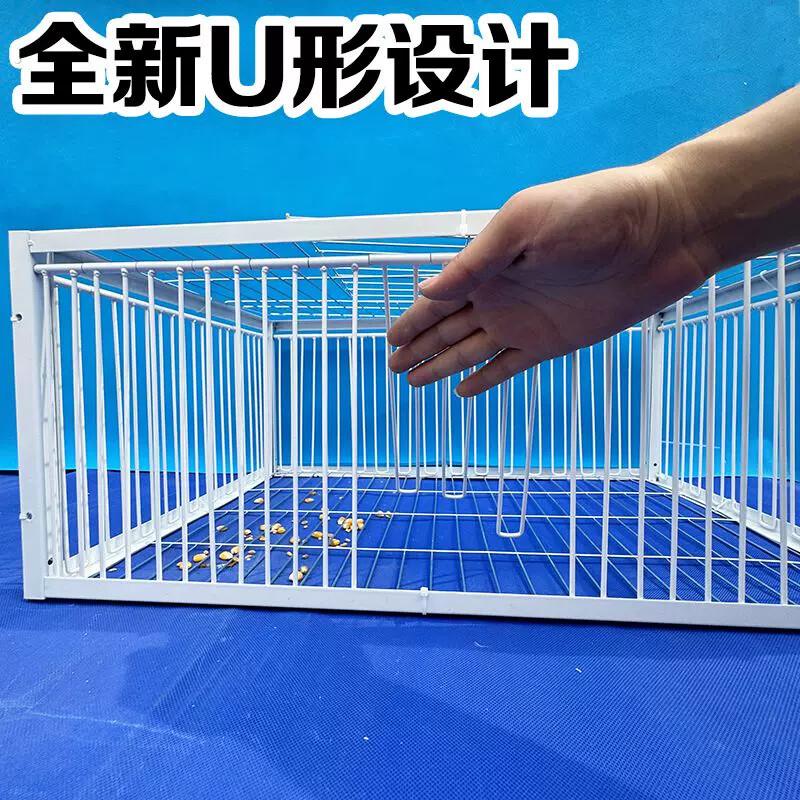 新款加密鸽子撞门笼 自动撞门笼活络门信鸽进笼口进门自动门鸽笼