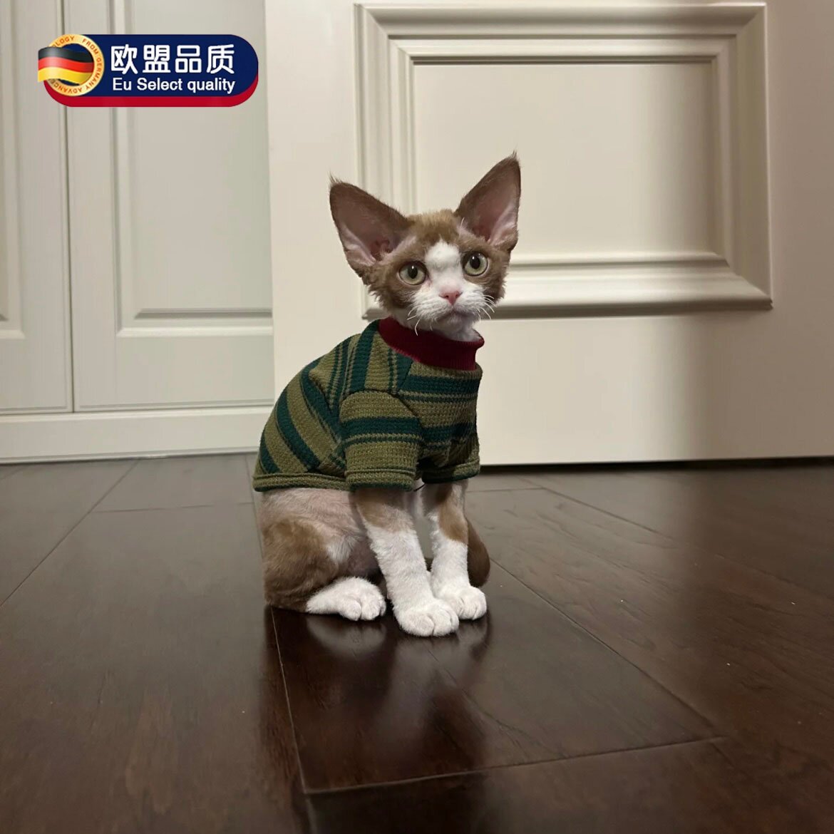 猫咪衣服冬装保暖背心无毛猫衣服