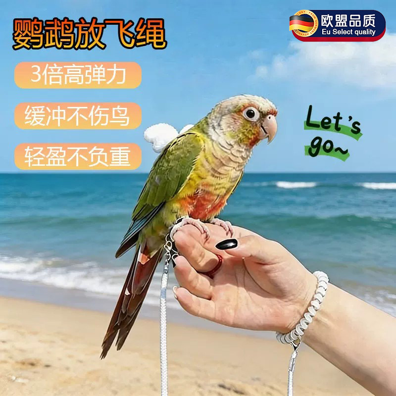 英国鹦鹉牵引绳放飞绳3倍高弹力