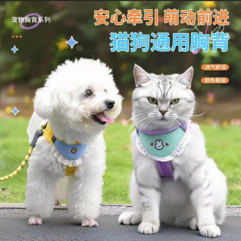 狗狗胸背带牵引绳可爱口水巾外出图片