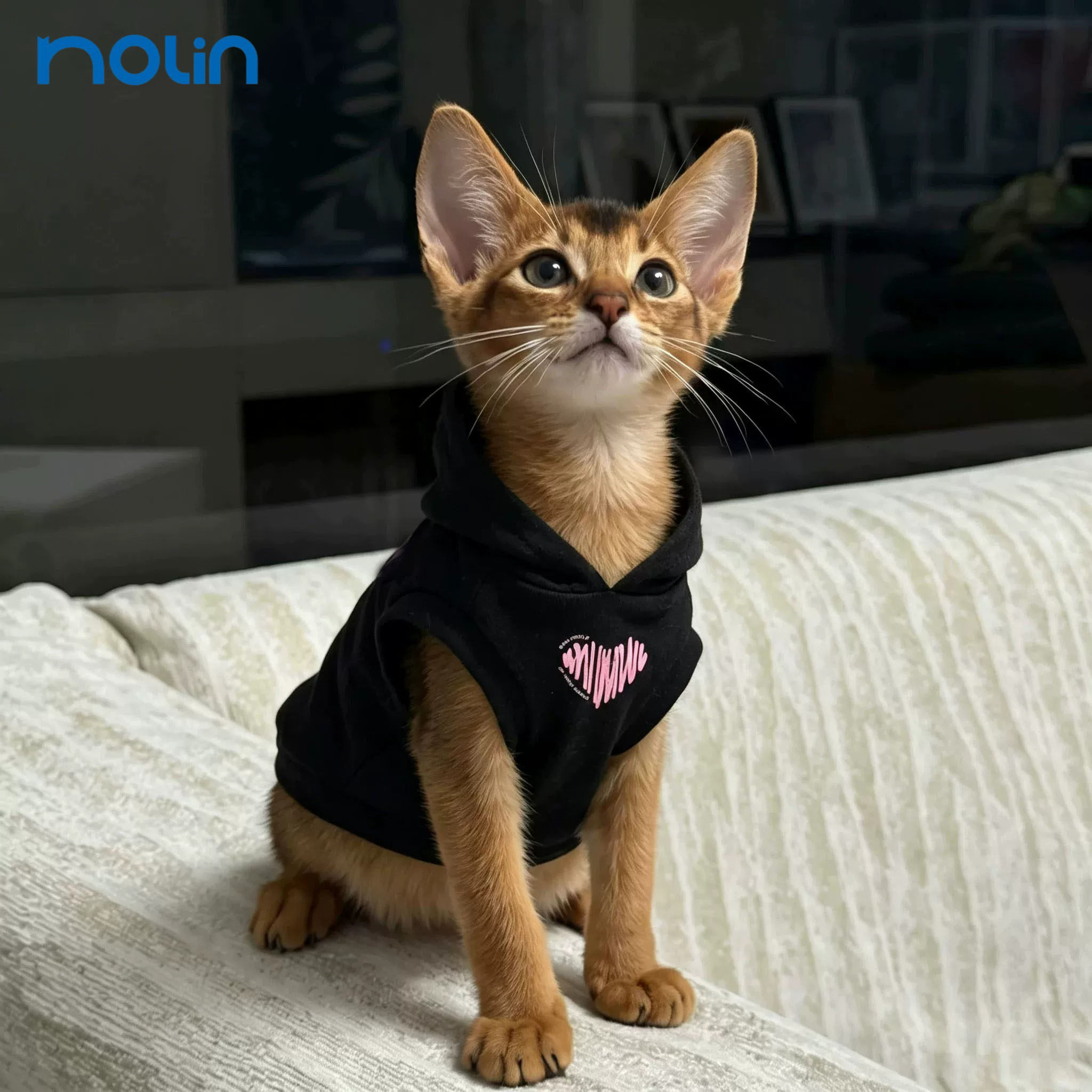 猫咪衣服2026新款秋冬季小猫衣服