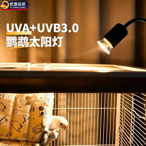 英国鹦鹉保温灯加热灯恒温取暖器