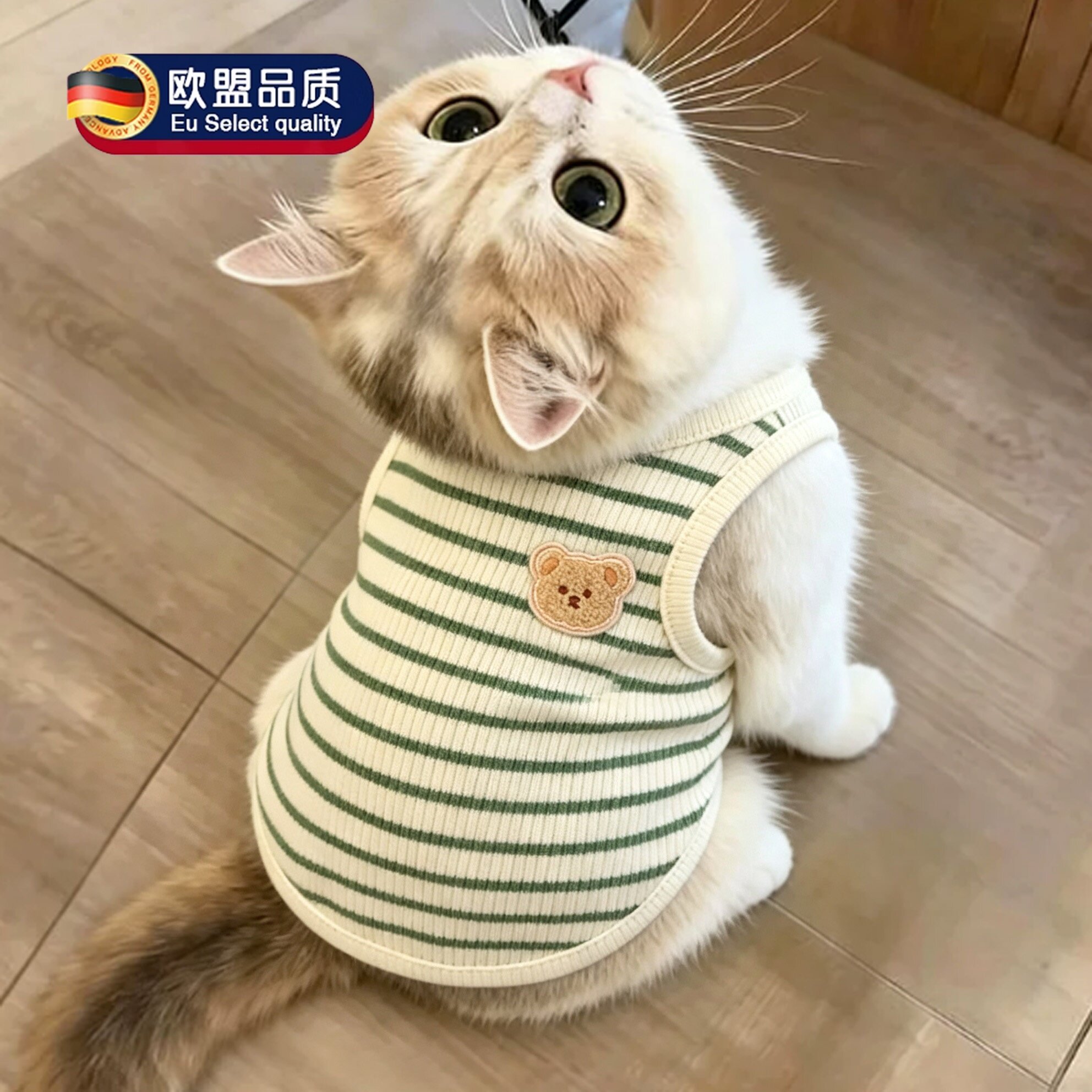 猫咪衣服秋冬款保暖防掉毛护肚子