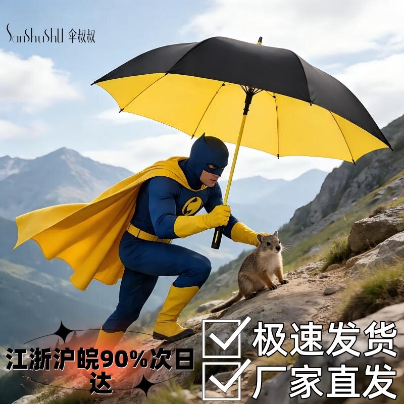 网红同款雨伞加厚防水套大伞抗风暴伞超大新款两用长柄自动直柄