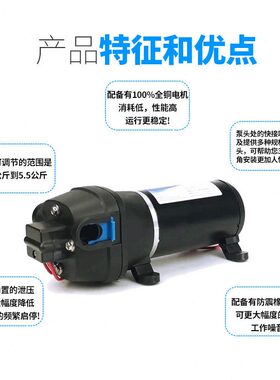 甄选FL-44小型隔膜压泵抽排水泵真空自吸大流量灌装机设备全自动