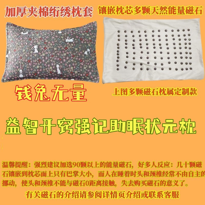 学生专用益智开窍强记状元磁石枕头缓解疲劳助睡眠提高智力记忆力