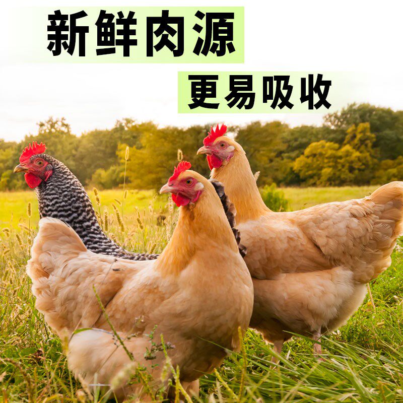 全价全期无谷冻干颗粒猫粮生鲜鸡肉营养护肠道毛发视力易消化吸收
