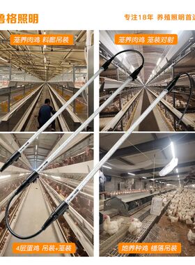 鲁格鸡鸭舍家禽专用防水led灯管低压48v可调光养殖场照明补光灯带