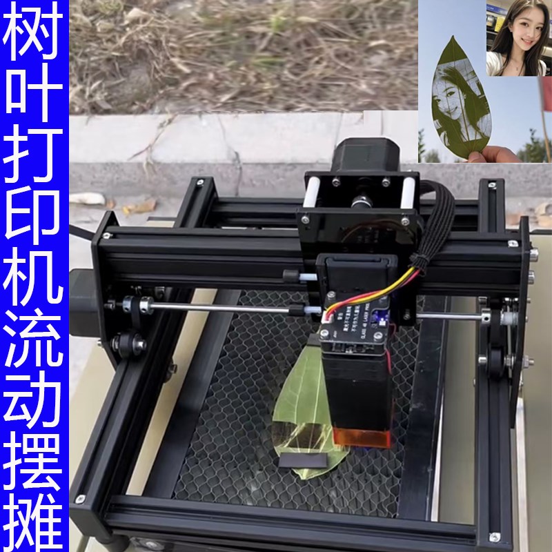 叶雕机树叶激光雕刻机小型全自动摆摊叶子打印照片机器激光打标机