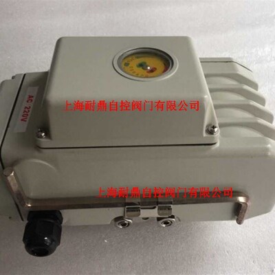 DY-60 DY-05R DY-10 DY-25S -40 DY-50 200M DY-100Z电动执行器