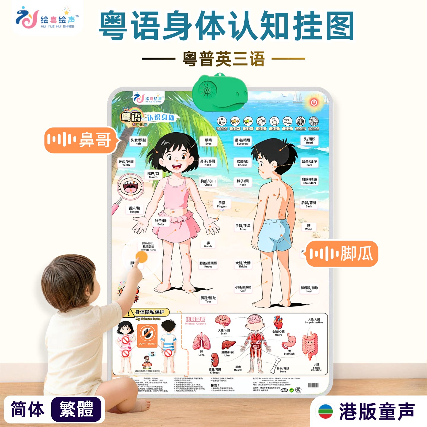 粤普英三语认识身体有声早教挂图