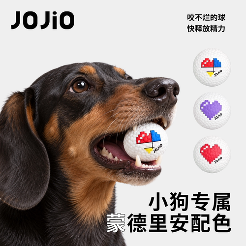 30天咬坏换新蒙德里安球