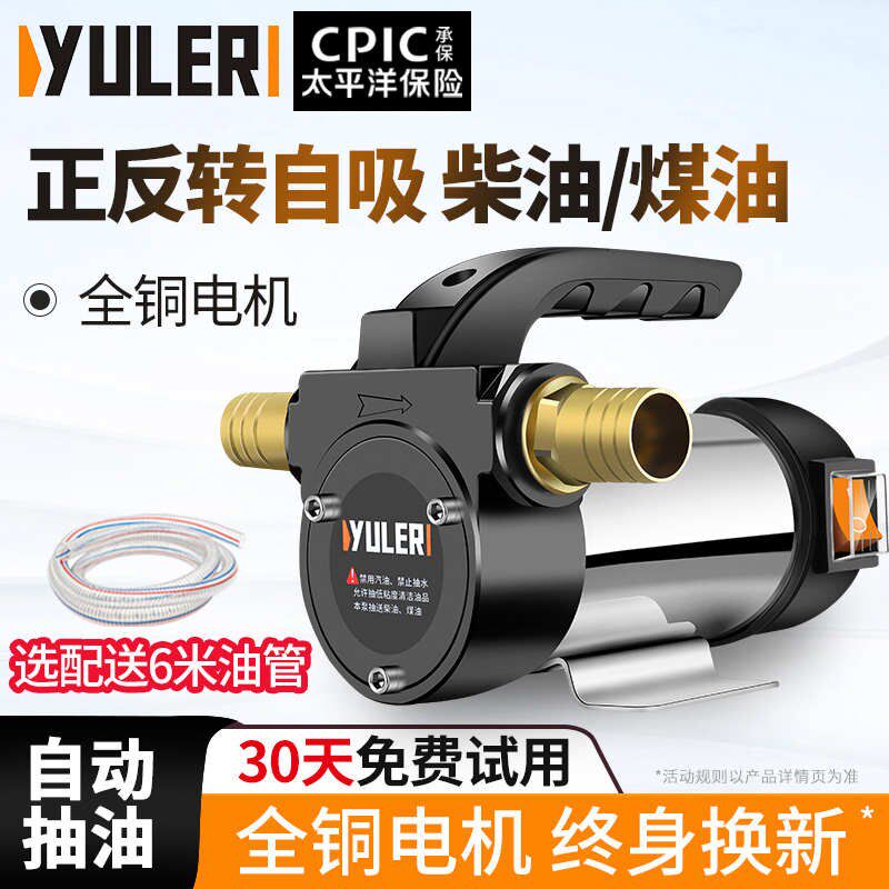 渝乐电动抽油泵12V24V220V伏自吸泵正反转加油泵小型柴油抽油机器