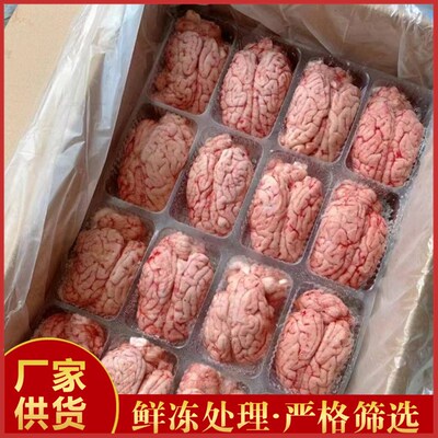猪脑猪脑花 新鲜冷冻整副猪脑子 左右脑生猪脑髓火锅烧烤食材