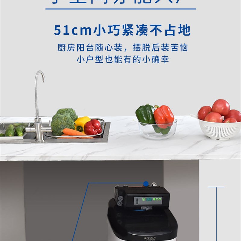 爱惠浦中央前置过滤器净水器软水机中央净水自来水过滤厨房纯水机